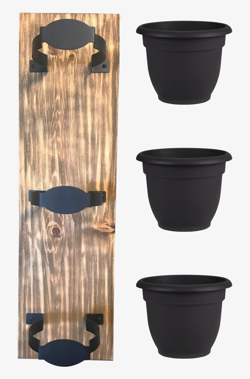 Black - Bloem Living Llc, transparent png download