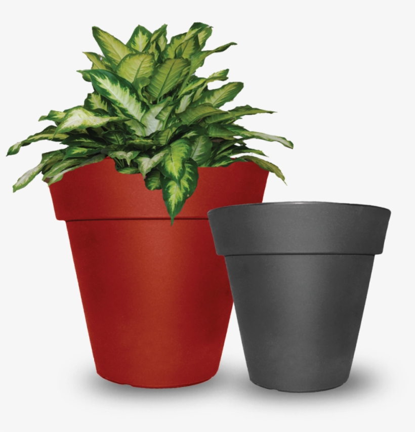 Products - Flowerpot, transparent png download