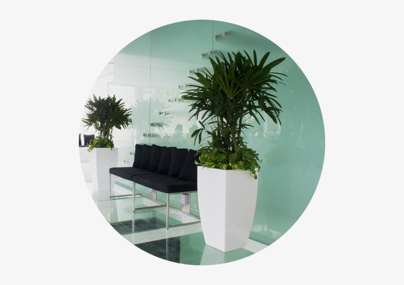 Custom Large Indoor Planters, Size - Maceteros Grandes, transparent png download