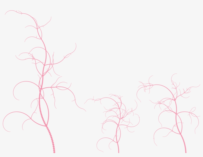 Recursive Tree - Sketch, transparent png download