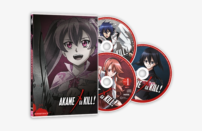 Have You Ever Wanted To Drive With Battle Music Blasting - Akame Ga Kill 3d Lenticular Wall Art Poster With Frame, transparent png download