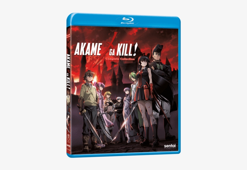 Akame Ga Kill!, transparent png download