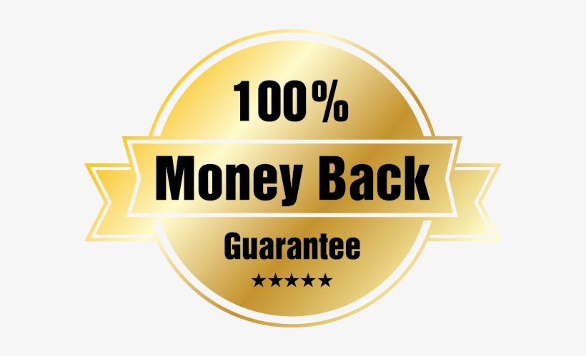 Newsletter - Software, transparent png download