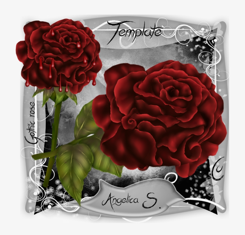 Gothic Rose Template - Garden Roses, transparent png download