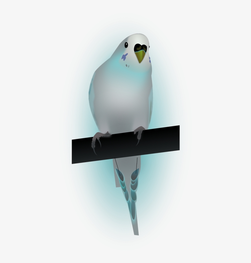 Bird,dove,dove Of Peace,peace - Paloma De La Paz España, transparent png download