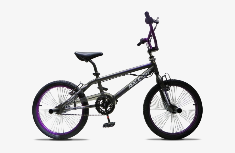 Raleigh Bmx - Bmx Division Fortiz, transparent png download