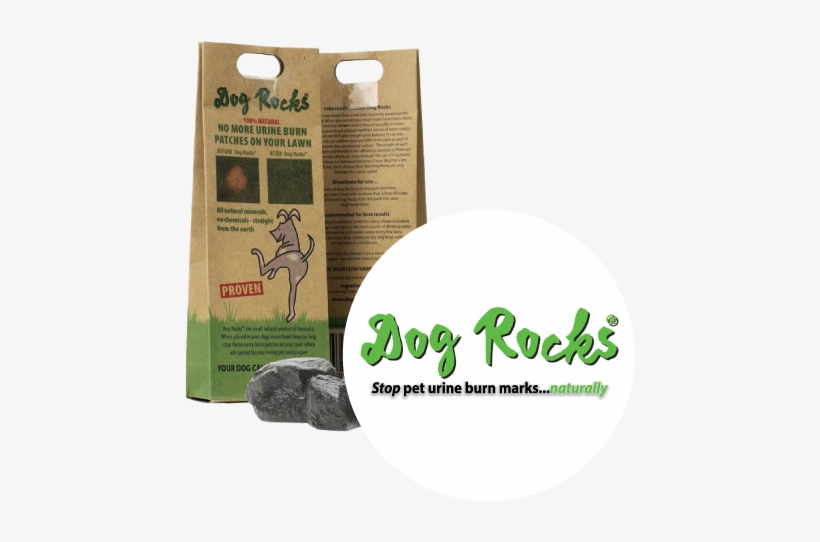 Featured Products - Dog Rocks, transparent png download