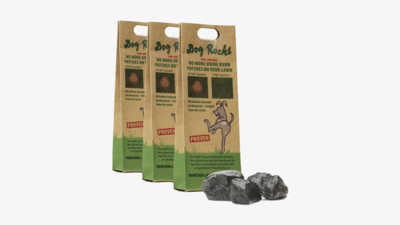 How To Use Dog Rocks - Dog Rocks, transparent png download