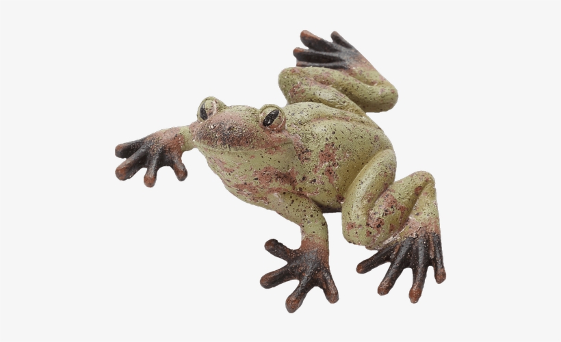 Resin Rustic Green Frog Fig - Eastern Spadefoot, transparent png download