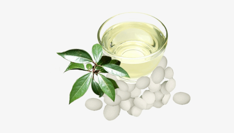 It Also Helps The Skin To Heal From Burn Marks And - Chinese Herb Tea, transparent png download