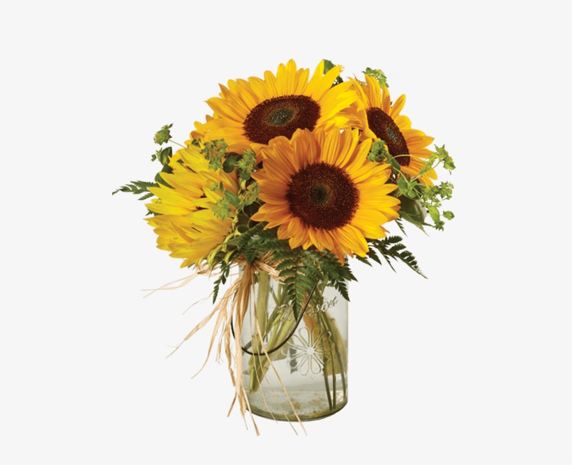 Sunshine, Large - Sunflower In Jar Png, transparent png download