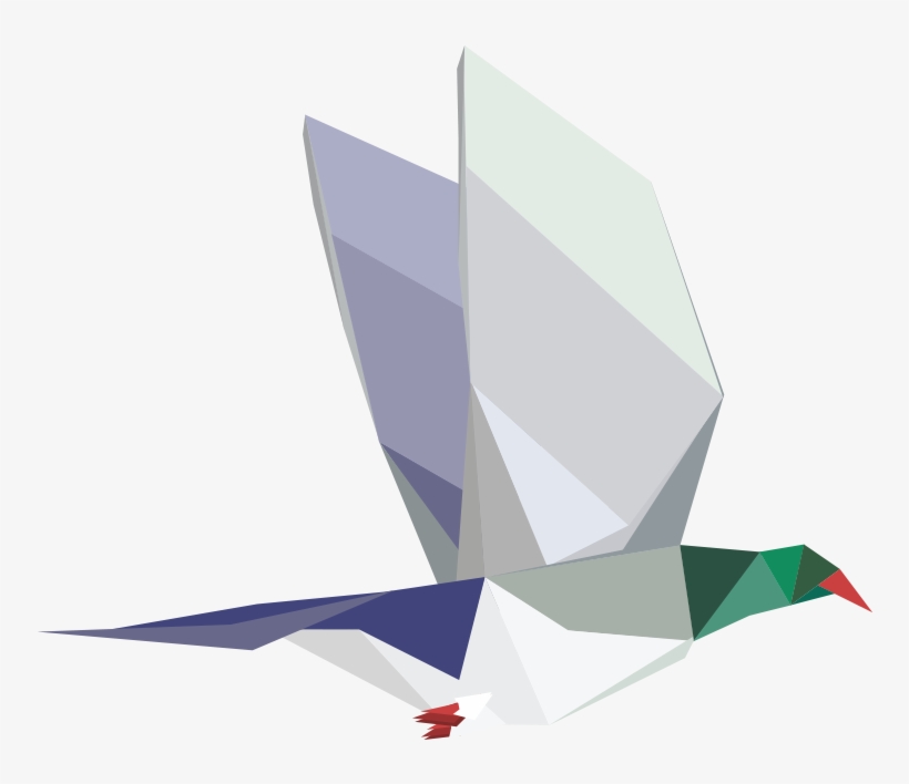 Great Kereru Count, transparent png download