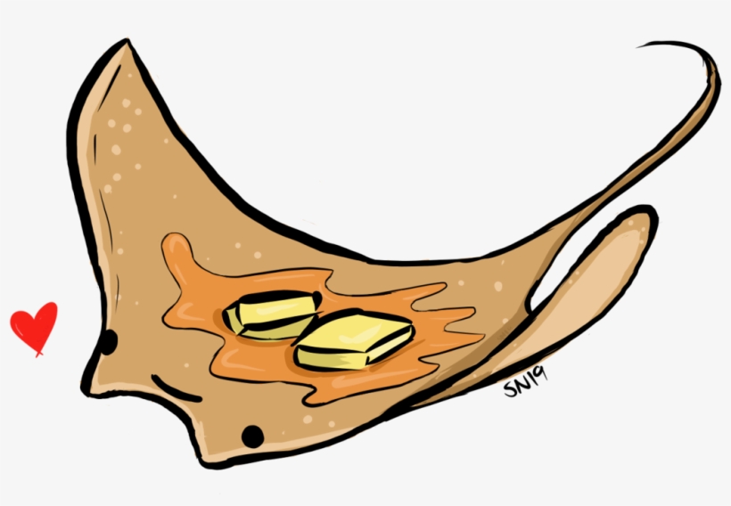 Sea Pancake Manta Ray Medibang Paint Pancakes I Like, transparent png download