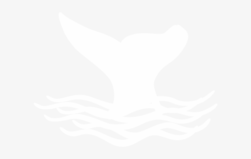 White Whale Fin Png, transparent png download