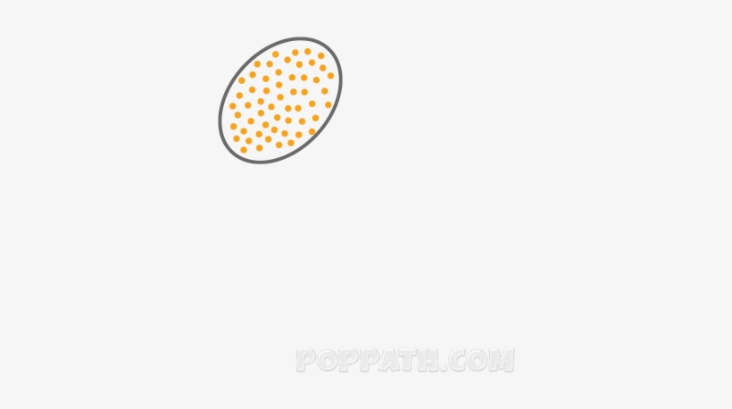 Flowers Sunflower - Flower, transparent png download