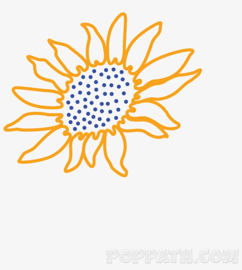 Use The Outline Of The Shape As A Guideline For Drawing - Sunflower Drawing, transparent png download