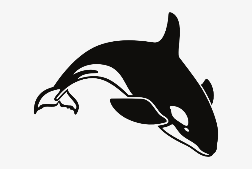 Cartoon Whale Png - Killer Whale Throw Blanket, transparent png download