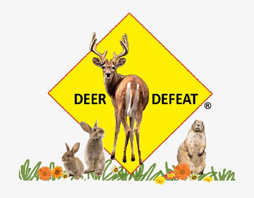 2018 Deer Defeat® - Exotic Nutrition Willow Ball, transparent png download