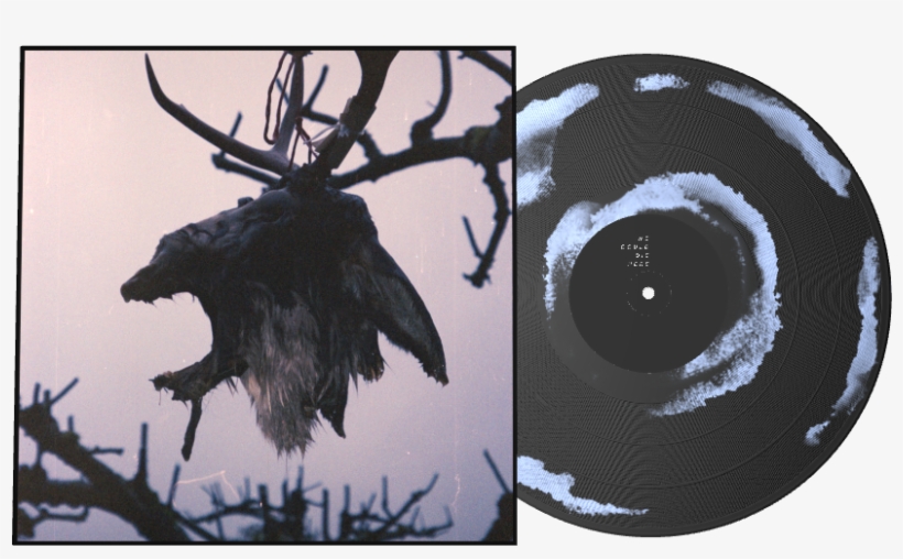 Elk, transparent png download