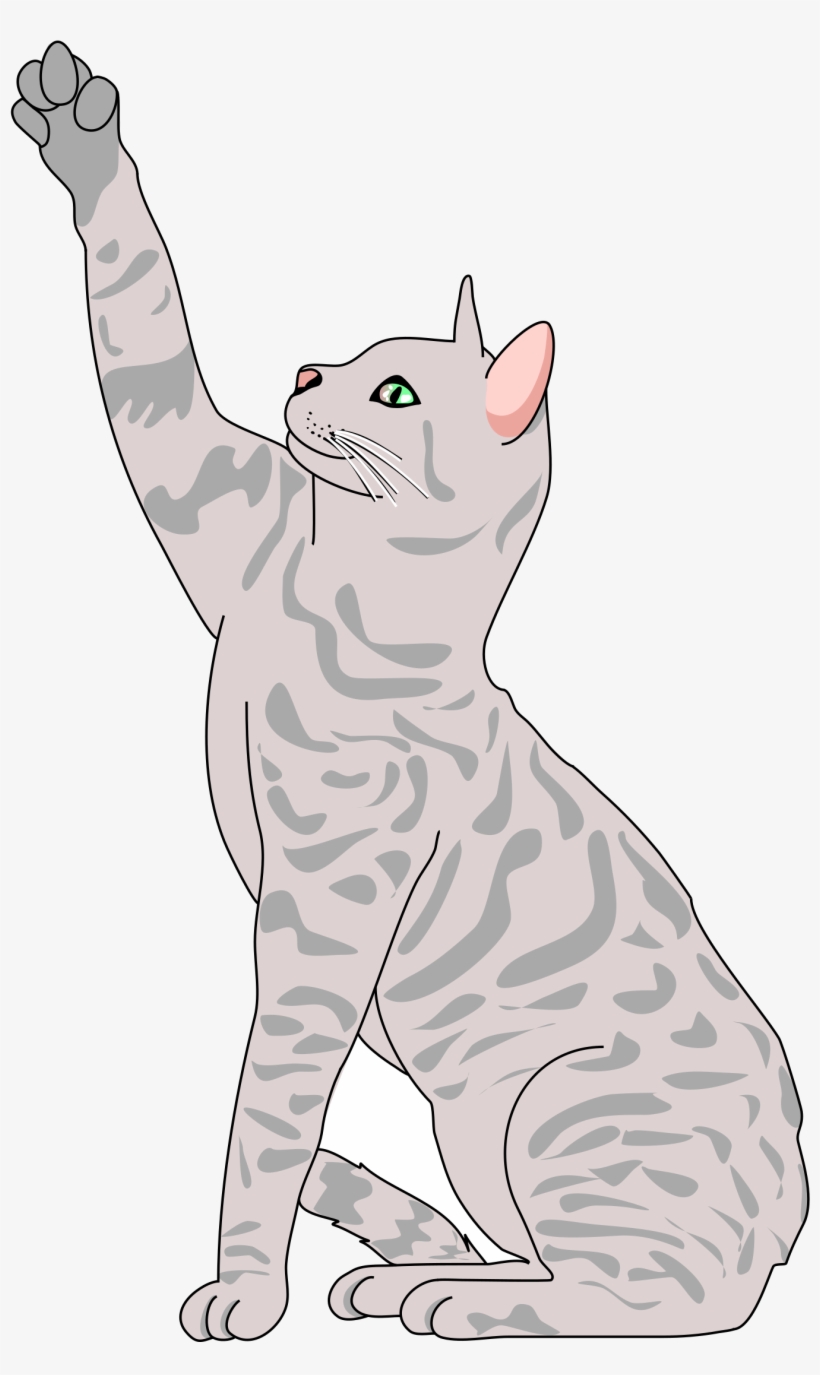 Kittens Clipart Playful - Cartoon Cat Reaching Up, transparent png download