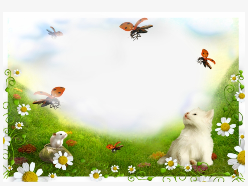 Kitten Frame Transparent Clipart Kitten Picture Frames - Collage, transparent png download