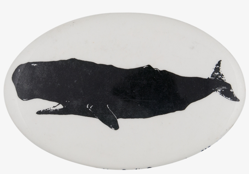 Greenpeace Sperm Whale - Manatee, transparent png download