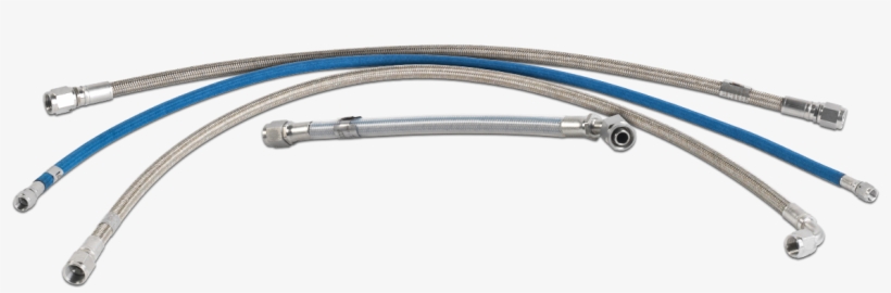 Hoses - Hose, transparent png download
