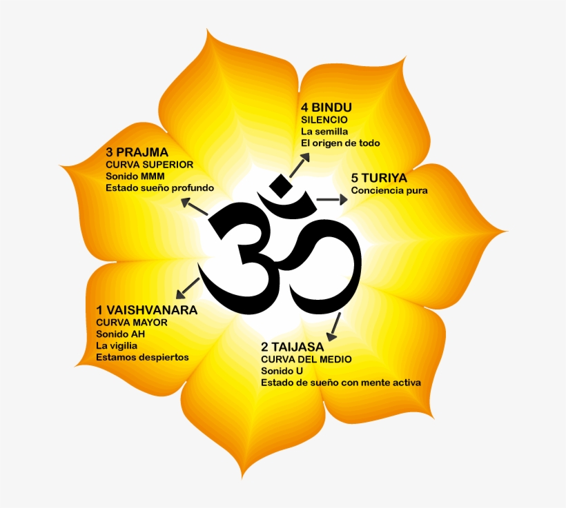 Ohm Partes - Om Symbol, transparent png download