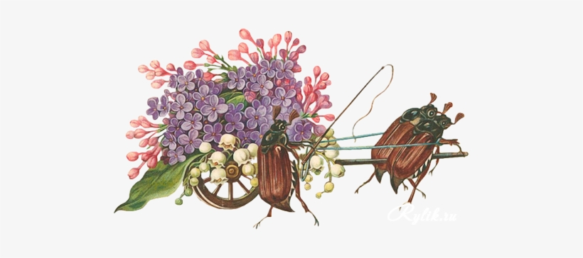 Vector Flowers, Vintage Flowers, Rubrics, Lilies, Vintage - Vintage Flowers, transparent png download