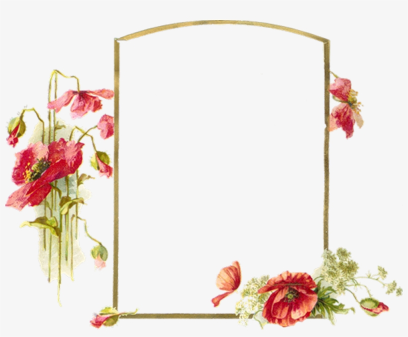 Vector Frame Poppies Vintage Photo Album, Vintage Photos, - Photography, transparent png download