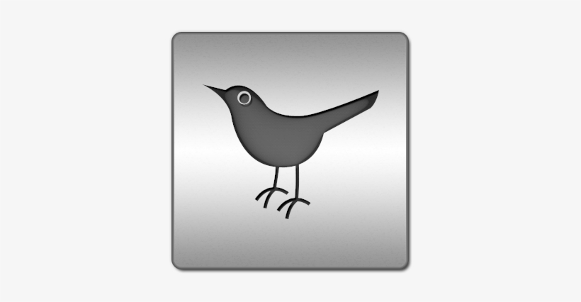 Icon Png - Social Media, transparent png download