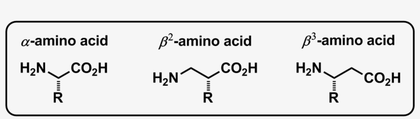 There Is A Number Of Ways To Make Beta-3 Amino Acids - Benzoin Condensation, transparent png download