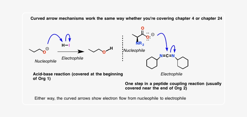 Where Do Transition Metal Mechanisms Fit Into Any Of - Peptide Bond Formation Nucleophile And Electrophile, transparent png download