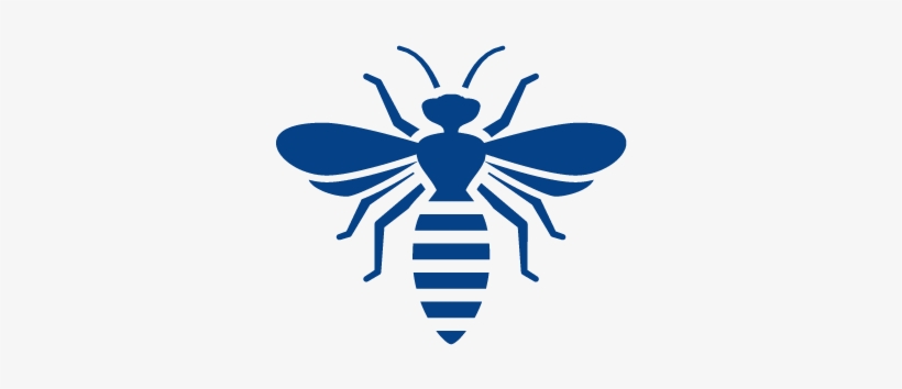 Stinging Insects Hornets Carpenter Bees & Wasp - White Bee Png, transparent png download