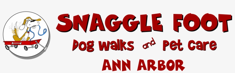 Ann Arbor, Mi Dog Walkers And Pet Sitters - Pet Sitting, transparent png download