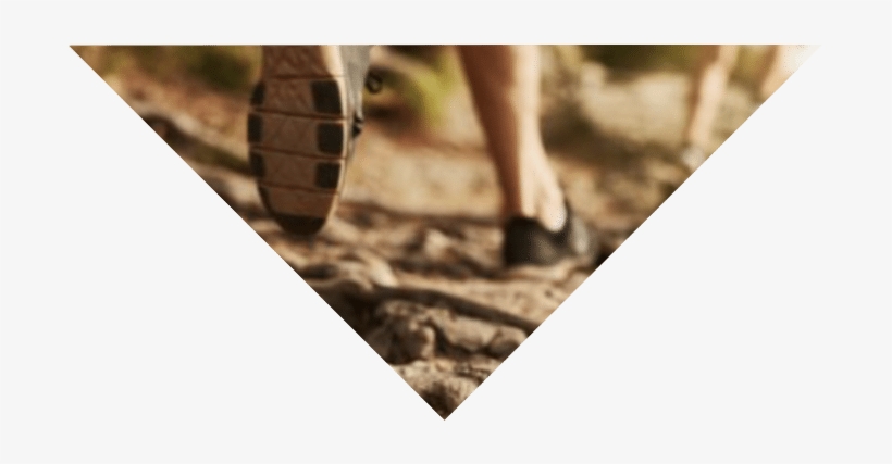 The 2018 Runner's Guide Is Now Available - Sls3 10oz Hydroquick Handheld Bare Minimum Water Bottle, transparent png download