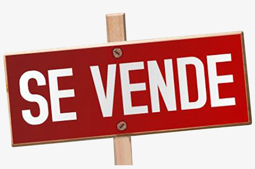 Lucy La Eternidad Que Ella Deseo, transparent png download