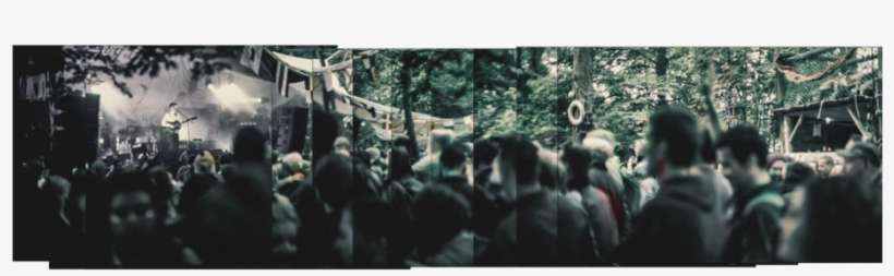 David Kitt Salty Dog Electric Picnic 2016 3 - Electric Picnic 2016, transparent png download