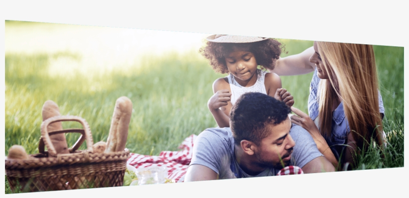 Attend An Outdoor Concert Or Picnic In The Park - Famille Campagne, transparent png download