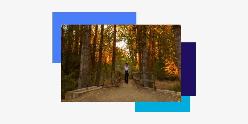 This Interpretive Park Offers A Learning Experience - Photograph, transparent png download
