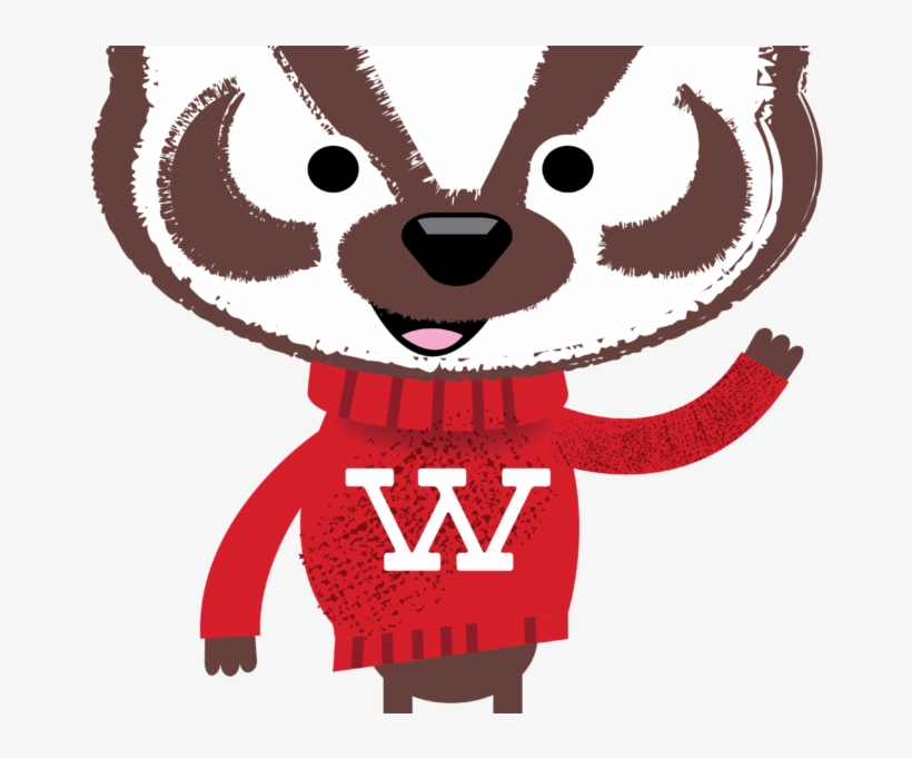Types Of Aid - Bucky Badger Uw Madison, transparent png download