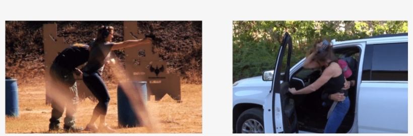 Springfield Armory Is Excited To Debut A New Firearm - Tree, transparent png download