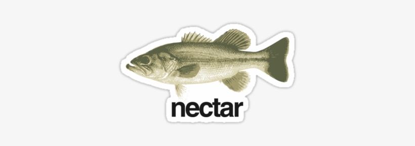 Store - Food Chain In Jungle, transparent png download