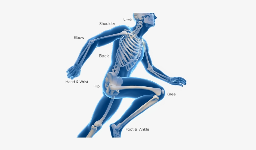 What - Hyderabad, transparent png download