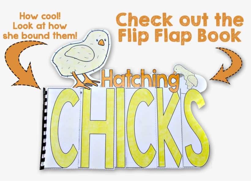 Hatching Chicks - Cartoon, transparent png download