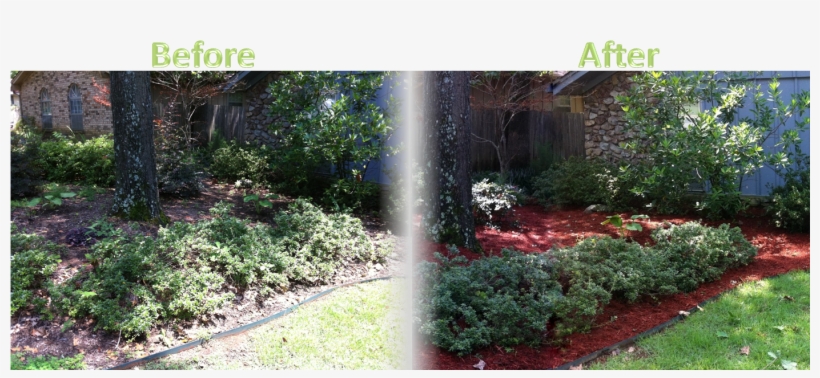 Lawnserve Of Ar Shrub Trimming And Mulch Before And - Mulch Before And After, transparent png download