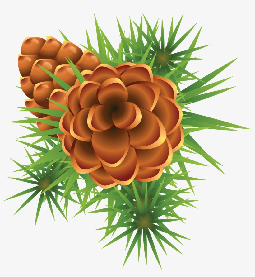 Fir-tree Png Image - Christmas Mistletoe, transparent png download