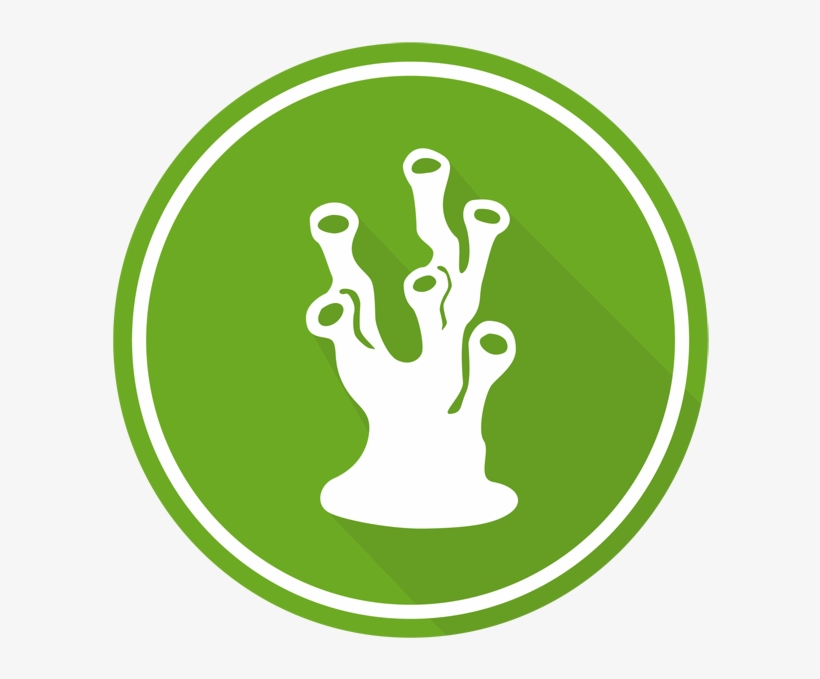 Rp - 150,000 - Bnktothefuture Bft, transparent png download