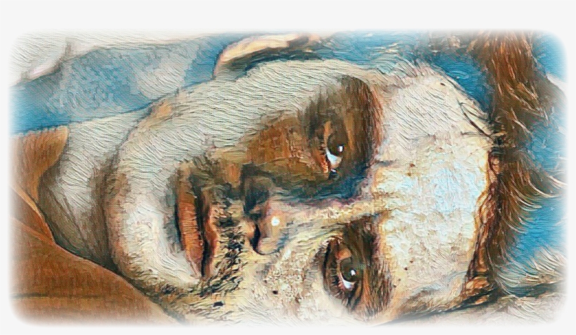 0 Replies 2 Retweets 7 Likes - Close-up, transparent png download