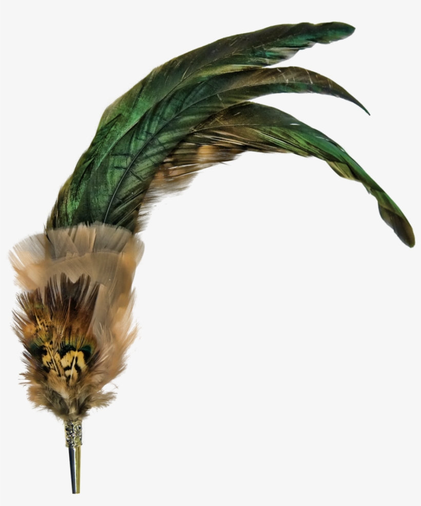 Feather Png File - Broche Png, transparent png download